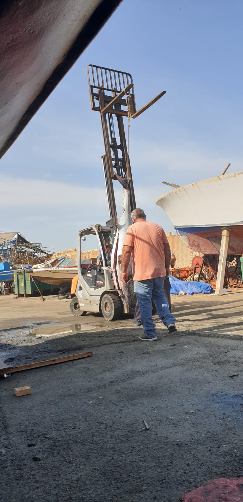 WhatsApp Image 2020-05-13 at 9.01.59 AM (2).jpeg.jpeg